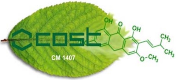 COST action CM1407 3rd meeting (2, 3 March 2017 - Krakow)